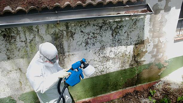 Top rated local Mold Remediation specialists in Orrstown, PA